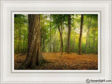 Load image into Gallery viewer, Oh How Lovely Was The Morning Open Edition Canvas / 12 X 18 White Frame Art