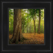 Load image into Gallery viewer, Oh How Lovely Was The Morning Open Edition Canvas / 12 X Black Frame Art