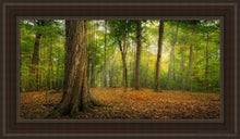 Load image into Gallery viewer, Oh How Lovely Was The Morning Open Edition Canvas / 15 X 30 Brown Frame Art