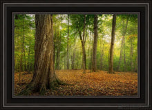 Load image into Gallery viewer, Oh How Lovely Was The Morning Open Edition Canvas / 20 X 30 Black Frame Art