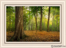 Load image into Gallery viewer, Oh How Lovely Was The Morning Open Edition Canvas / 20 X 30 White Frame Art