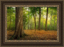Load image into Gallery viewer, Oh How Lovely Was The Morning Open Edition Canvas / 36 X 24 Frame M 33 3/4 45 Art