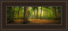 Load image into Gallery viewer, Oh How Lovely Was The Morning Open Edition Canvas / 6 X 18 Brown Frame Art