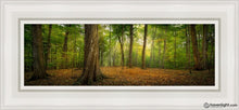 Load image into Gallery viewer, Oh How Lovely Was The Morning Open Edition Canvas / 6 X 18 White Frame Art