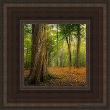 Load image into Gallery viewer, Oh How Lovely Was The Morning Open Edition Canvas / 6 X Brown Frame Art