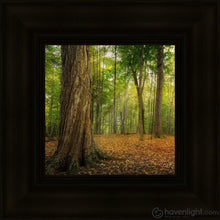 Load image into Gallery viewer, Oh How Lovely Was The Morning Open Edition Canvas / 6 X Frame B 9 3/4 Art