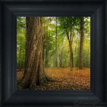 Load image into Gallery viewer, Oh How Lovely Was The Morning Open Edition Canvas / 6 X Frame D 8 3/8 Art
