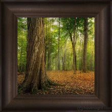 Load image into Gallery viewer, Oh How Lovely Was The Morning Open Edition Canvas / 6 X Frame R 8 3/8 Art