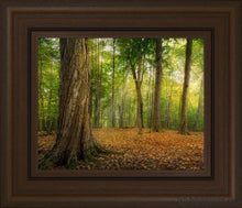 Load image into Gallery viewer, Oh How Lovely Was The Morning Open Edition Canvas / 8 X 10 Brown Frame Art