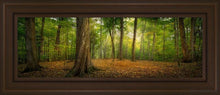Load image into Gallery viewer, Oh How Lovely Was The Morning Open Edition Canvas / 8 X 24 Brown Frame Art