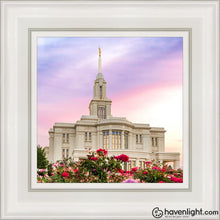Load image into Gallery viewer, Payson Utah Tiptoe Through The Roses Open Edition Canvas / 12 X White Frame Art