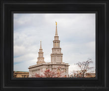 Load image into Gallery viewer, Philadelphia Freedom Open Edition Canvas / 11 X 14 Black Frame Art