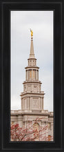 Load image into Gallery viewer, Philadelphia Freedom Open Edition Canvas / 12 X 36 Black Frame Art