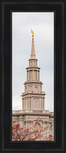 Load image into Gallery viewer, Philadelphia Freedom Open Edition Canvas / 8 X 24 Black Frame Art