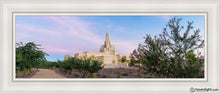 Load image into Gallery viewer, Phoenix Desert Blossom Open Edition Canvas / 12 X 36 White Frame Art
