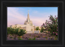 Load image into Gallery viewer, Phoenix Desert Blossom Open Edition Canvas / 14 X 21 Black Frame Art
