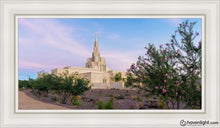 Load image into Gallery viewer, Phoenix Desert Blossom Open Edition Canvas / 15 X 30 White Frame Art