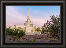 Load image into Gallery viewer, Phoenix Desert Blossom Open Edition Canvas / 20 X 30 Black Frame Art
