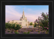 Load image into Gallery viewer, Phoenix Desert Blossom Open Edition Canvas / 24 X 36 Black Frame Art