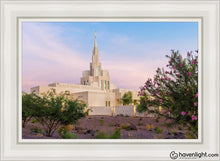 Load image into Gallery viewer, Phoenix Desert Blossom Open Edition Canvas / 24 X 36 White Frame Art