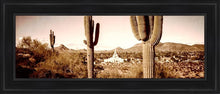Load image into Gallery viewer, Phoenix Saguaro Cactus Open Edition Canvas / 12 X 36 Black Frame Art