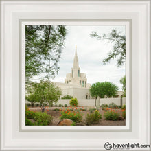 Load image into Gallery viewer, Phoenix Spring Blooms Open Edition Canvas / 12 X White Frame Art