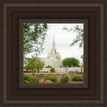 Load image into Gallery viewer, Phoenix Spring Blooms Open Edition Canvas / 6 X Brown Frame Art