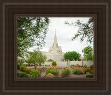 Load image into Gallery viewer, Phoenix Spring Blooms Open Edition Canvas / 8 X 10 Brown Frame Art