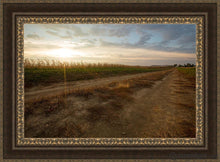 Load image into Gallery viewer, Plate 7 - Calm Before The Storm Open Edition Canvas / 36 X 24 Frame M 33 3/4 45 Art