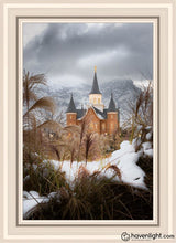 Load image into Gallery viewer, Provo City Center Winter Warmth Open Edition Canvas / 20 X 30 Gray Frame Art