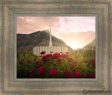 Load image into Gallery viewer, Provo Second Coming Open Edition Print / 10 X 8 Frame E 13.5 11.5 Art
