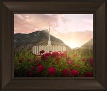 Load image into Gallery viewer, Provo Second Coming Open Edition Print / 20 X 16 Frame B 22 3/4 26 Art