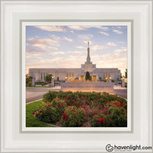 Load image into Gallery viewer, Reno Flowers Open Edition Canvas / 12 X White Frame Art