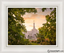 Load image into Gallery viewer, Reno Gardens Open Edition Canvas / 11 X 14 White Frame Art