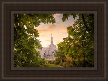 Load image into Gallery viewer, Reno Gardens Open Edition Canvas / 12 X 18 Brown Frame Art