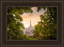Load image into Gallery viewer, Reno Gardens Open Edition Canvas / 14 X 21 Brown Frame Art