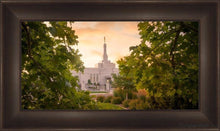 Load image into Gallery viewer, Reno Gardens Open Edition Canvas / 36 X 18 Frame B 26 1/2 44 Art
