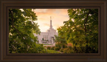 Load image into Gallery viewer, Reno Gardens Open Edition Canvas / 36 X 18 Frame E 24 3/4 42 Art