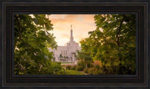 Load image into Gallery viewer, Reno Gardens Open Edition Canvas / 36 X 18 Frame L 26 1/4 44 Art