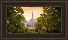 Load image into Gallery viewer, Reno Gardens Open Edition Canvas / 36 X 18 Frame R 26 3/4 44 Art