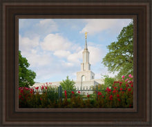 Load image into Gallery viewer, Sacramento Flowers Open Edition Canvas / 11 X 14 Brown Frame Art