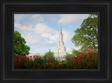 Load image into Gallery viewer, Sacramento Flowers Open Edition Canvas / 12 X 18 Black Frame Art