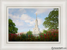 Load image into Gallery viewer, Sacramento Flowers Open Edition Canvas / 12 X 18 White Frame Art