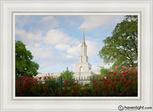 Load image into Gallery viewer, Sacramento Flowers Open Edition Canvas / 24 X 36 White Frame Art