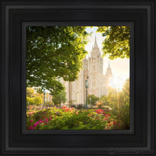 Load image into Gallery viewer, Salt Lake - The Lord Is My Light Open Edition Canvas / 12 X Black Frame Art
