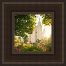 Load image into Gallery viewer, Salt Lake - The Lord Is My Light Open Edition Canvas / 6 X Brown Frame Art