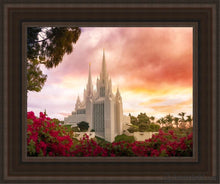 Load image into Gallery viewer, San Diego Flowers Open Edition Canvas / 11 X 14 Brown Frame Art