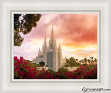Load image into Gallery viewer, San Diego Flowers Open Edition Canvas / 11 X 14 White Frame Art
