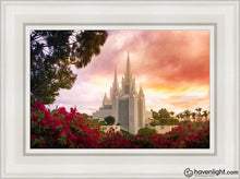 Load image into Gallery viewer, San Diego Flowers Open Edition Canvas / 12 X 18 White Frame Art
