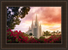 Load image into Gallery viewer, San Diego Flowers Open Edition Canvas / 24 X 36 Brown Frame Art